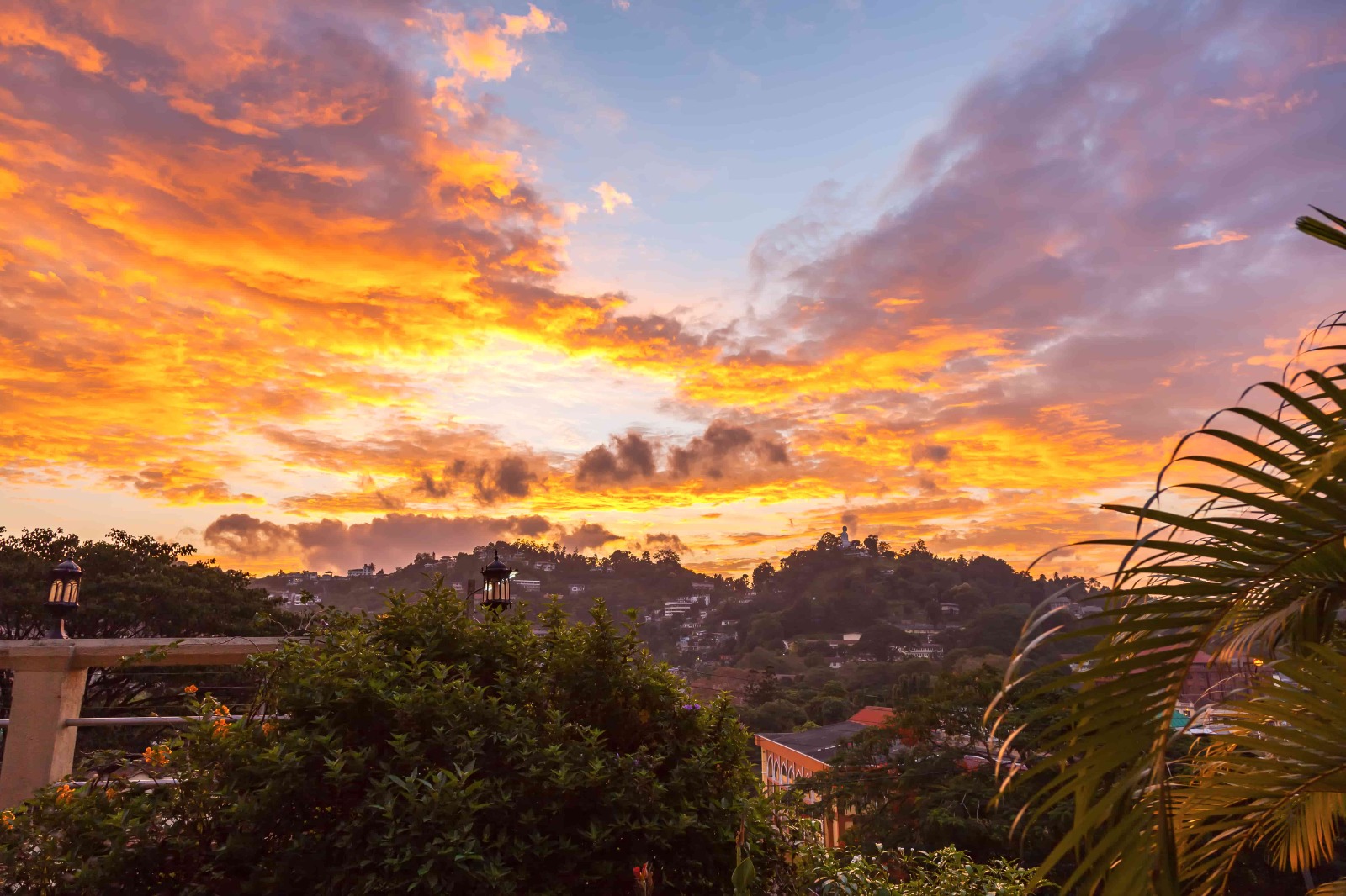 7-Day Classic Sri Lanka Highlights Tour