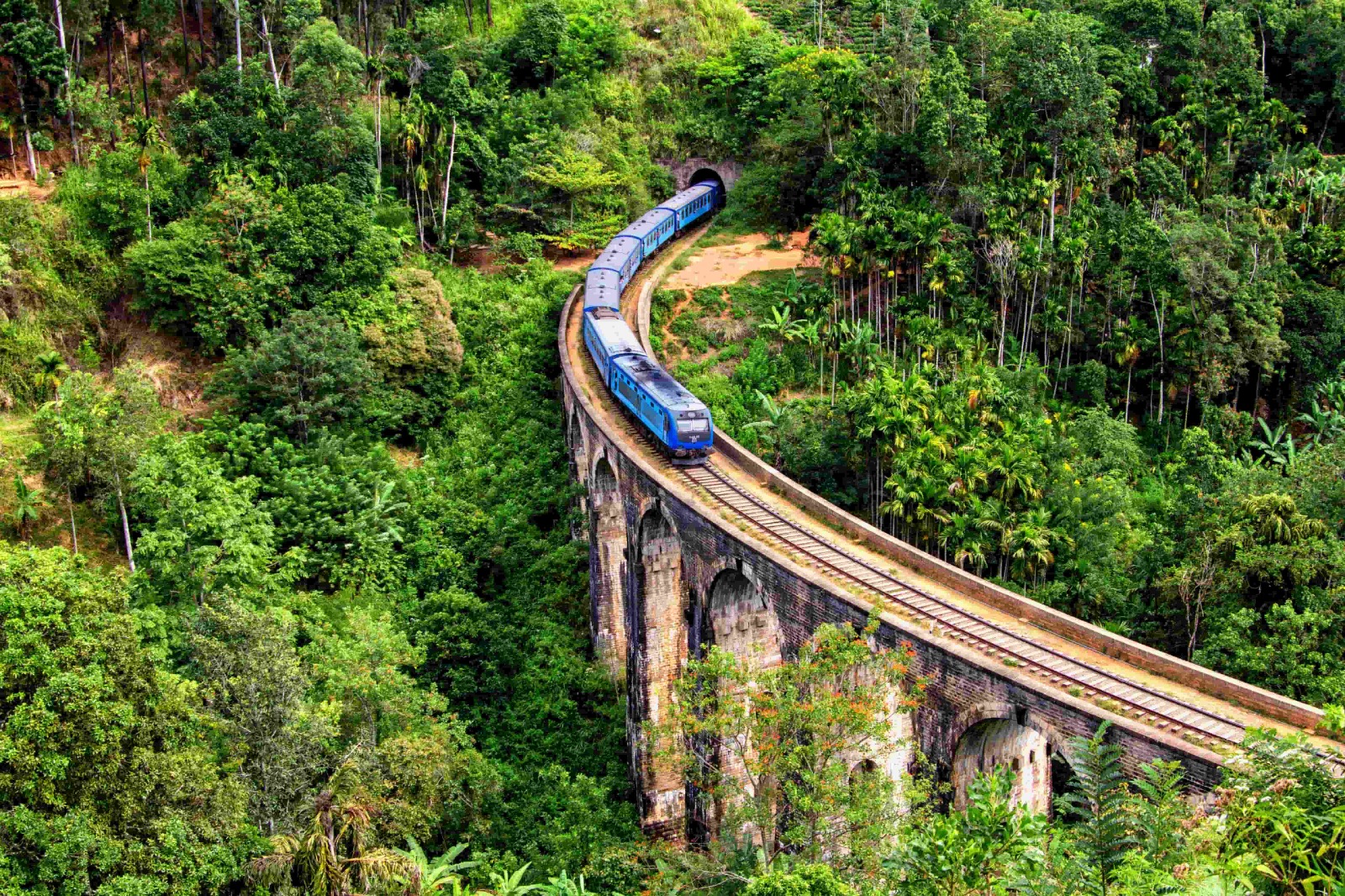 About Ceylon Early Bird
